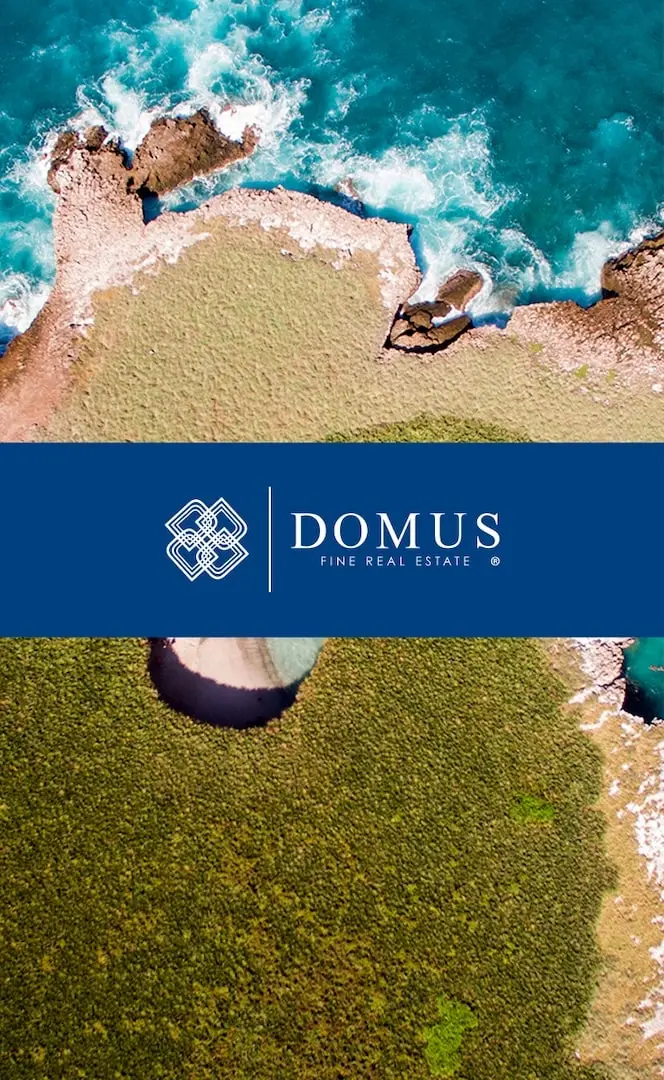 Domus CRM Login Image